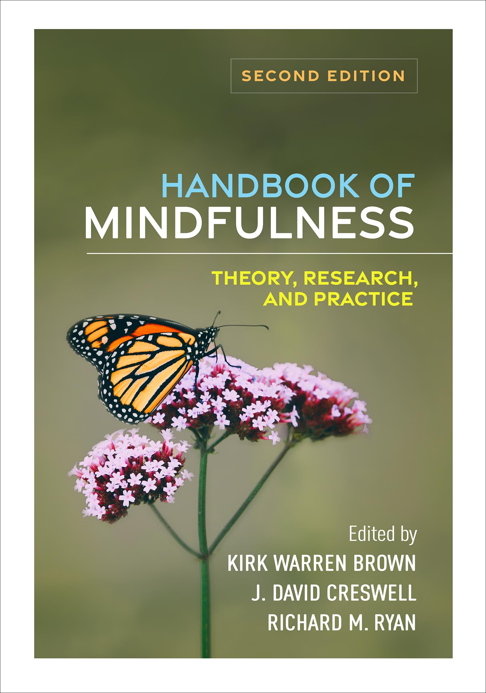 Handbook of Mindfulness: Theory, Research, and Practice Medicine