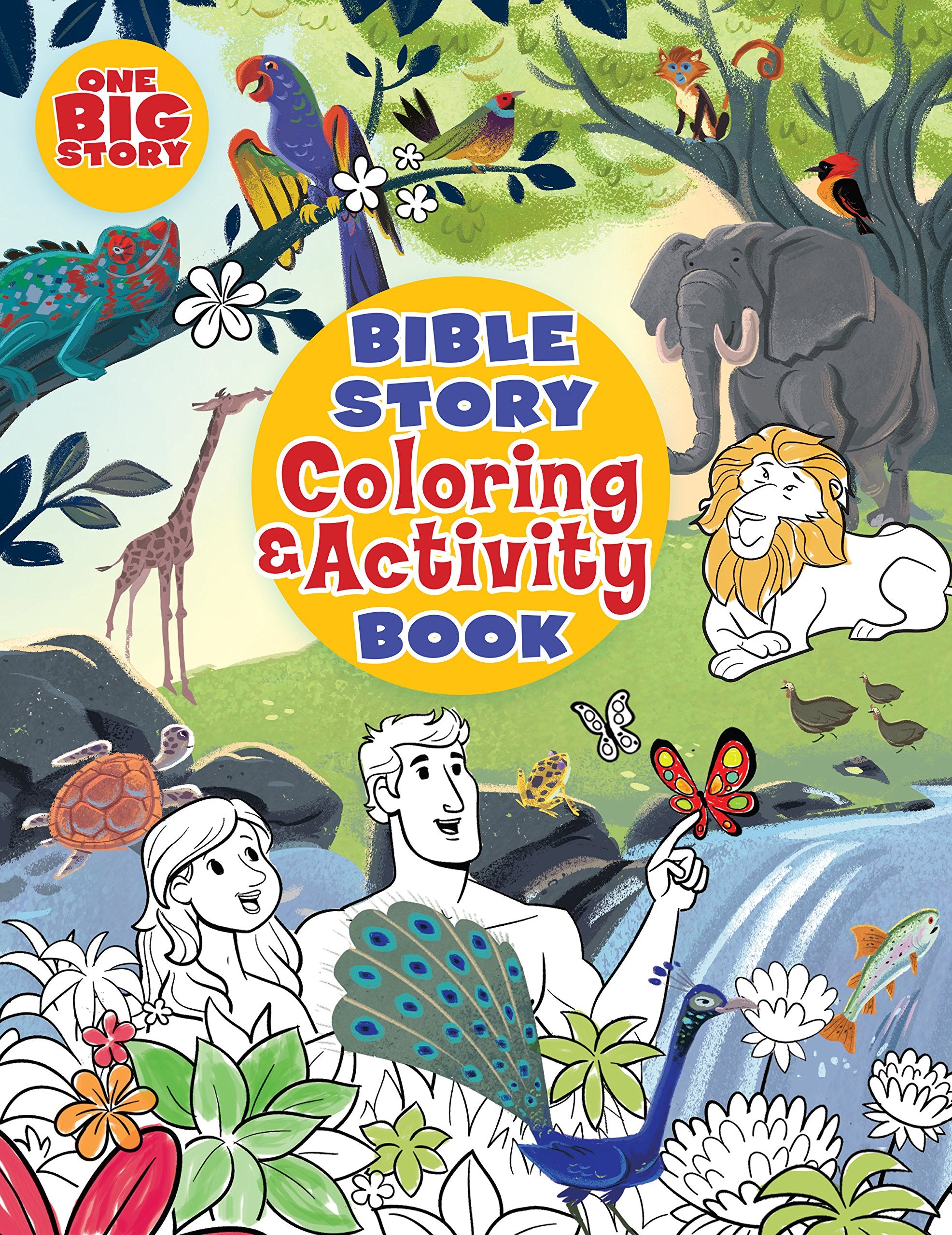 Bible Story Coloring and Activity Book (One Big Story) Non-fiction