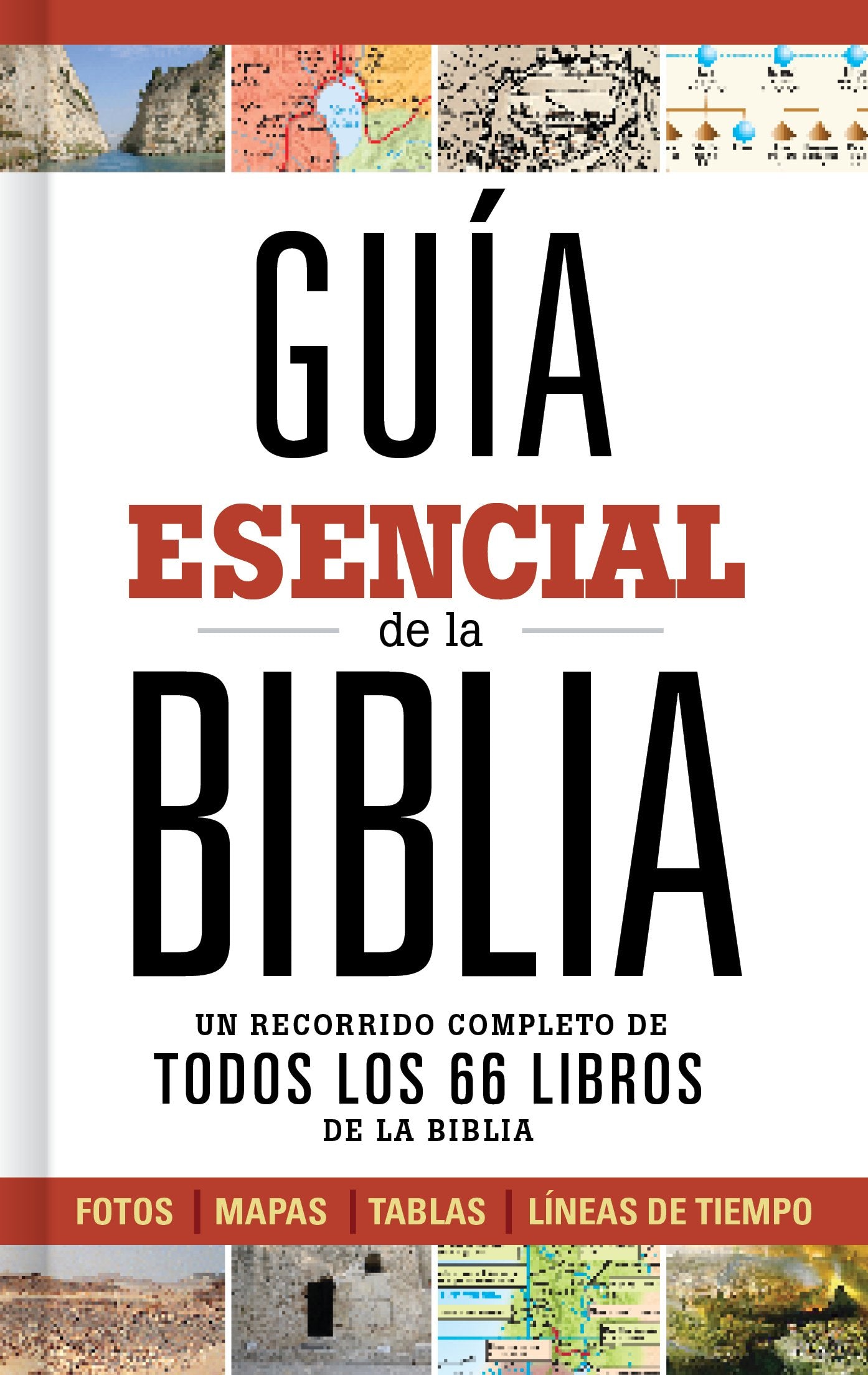 Guía esencial de la Biblia / Essential Guide to the Bible: Caminando a través de los 66 libros de la biblia / Walking Through the 66 Books of the Bible book
