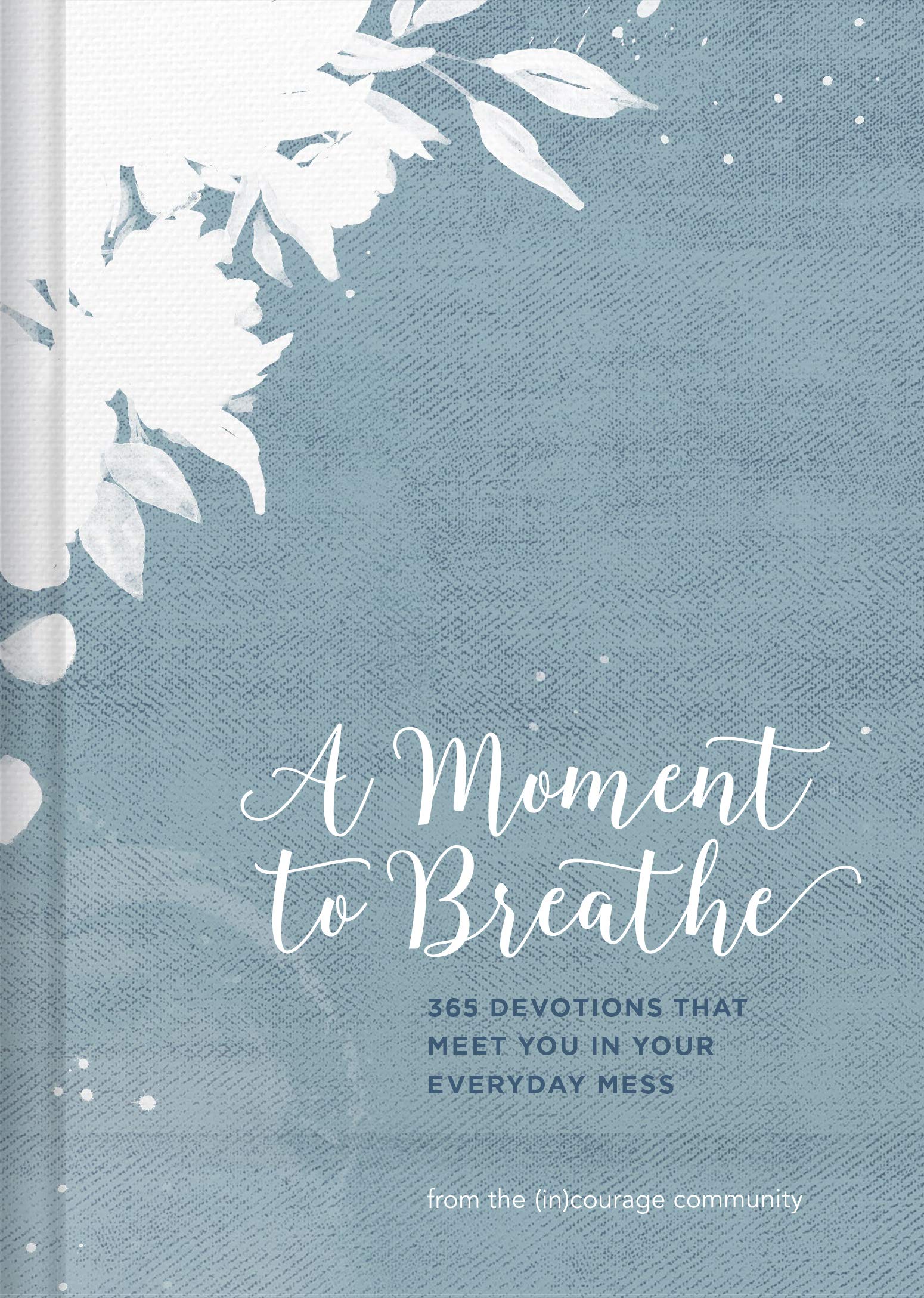 A Moment to Breathe: 365 Devotions That Meet You in Your Everyday Mess Film, Art & Culture