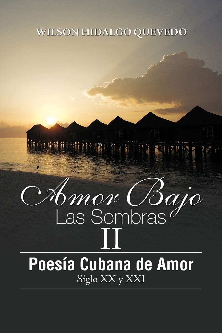 Amor Bajo Las Sombras II Poetry