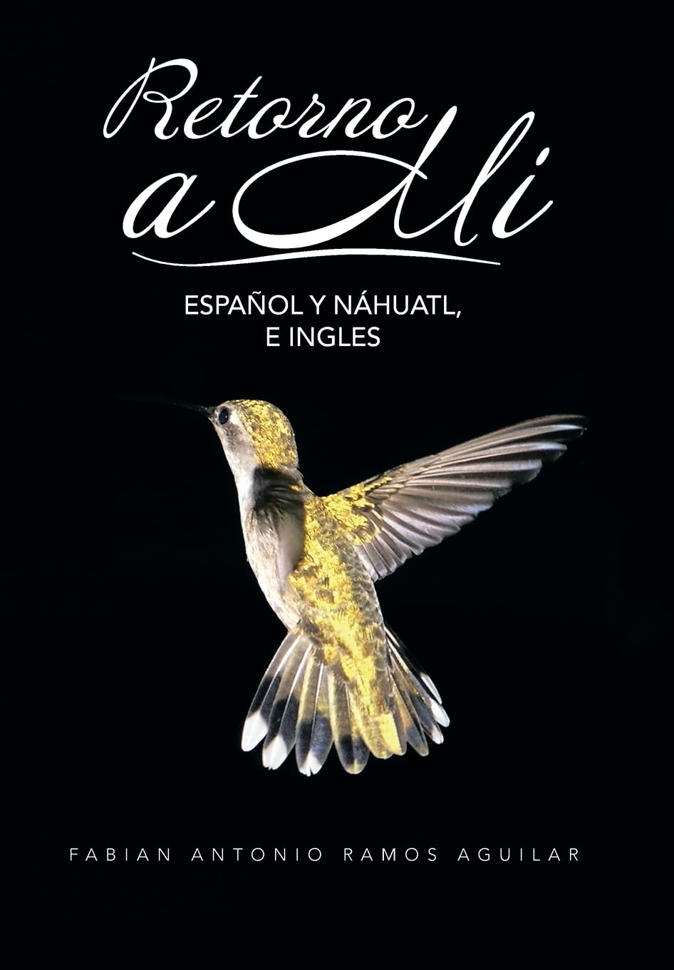 Retorno a mí: Español Y Náhuatl, E Ingles Poetry