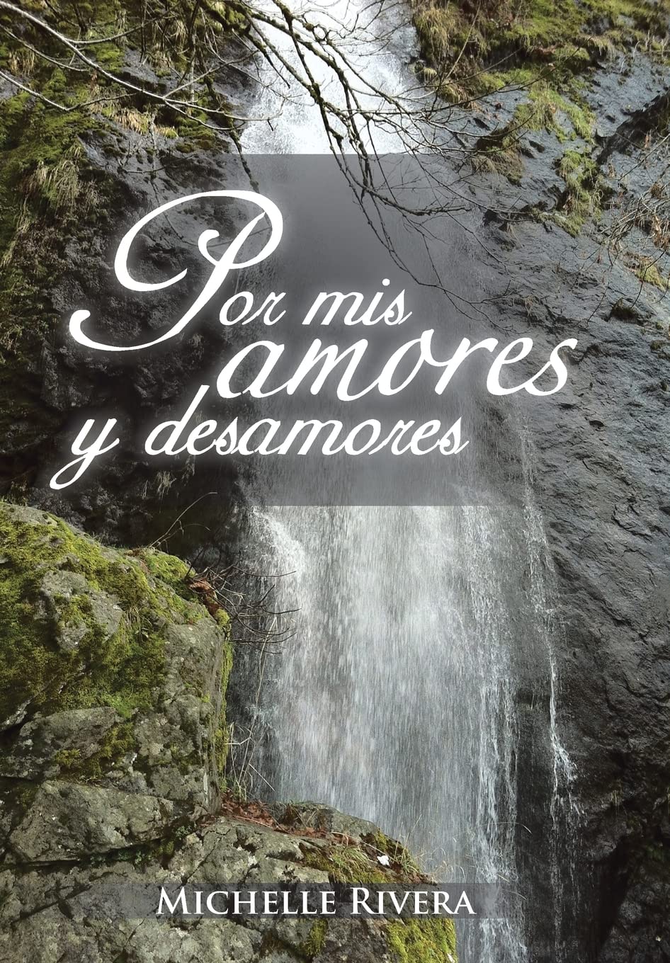 Por mis amores y desamores Poetry
