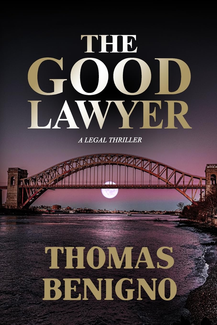 The Good Lawyer: A Novel (The Good Lawyer Series, Band 1) Action & Adventure