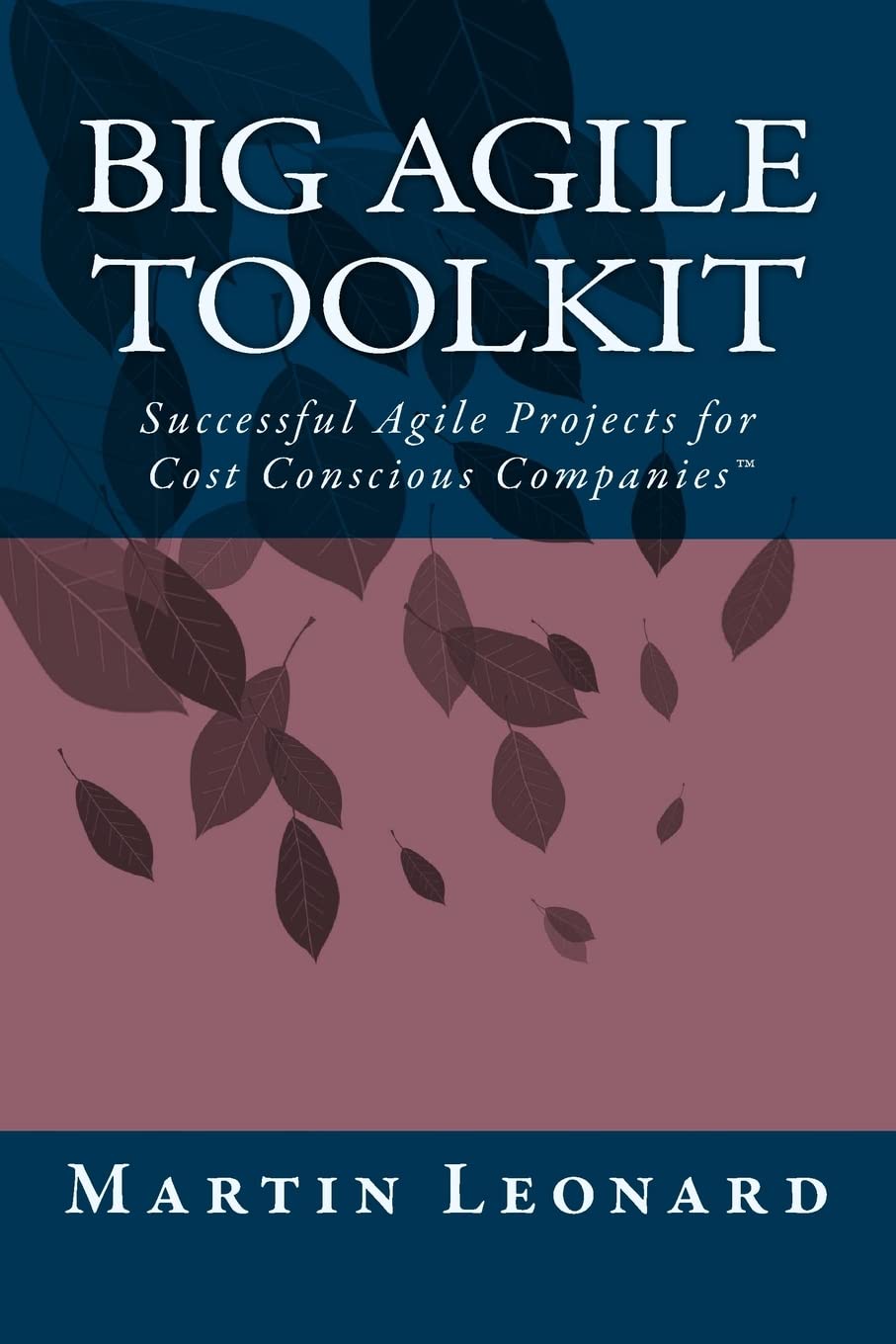 Big Agile Toolkit: Successful Agile Projects for Cost Conscious Companies™: Successful Agile Projects for Cost Conscious Companies(TM) Business, Finance & Career