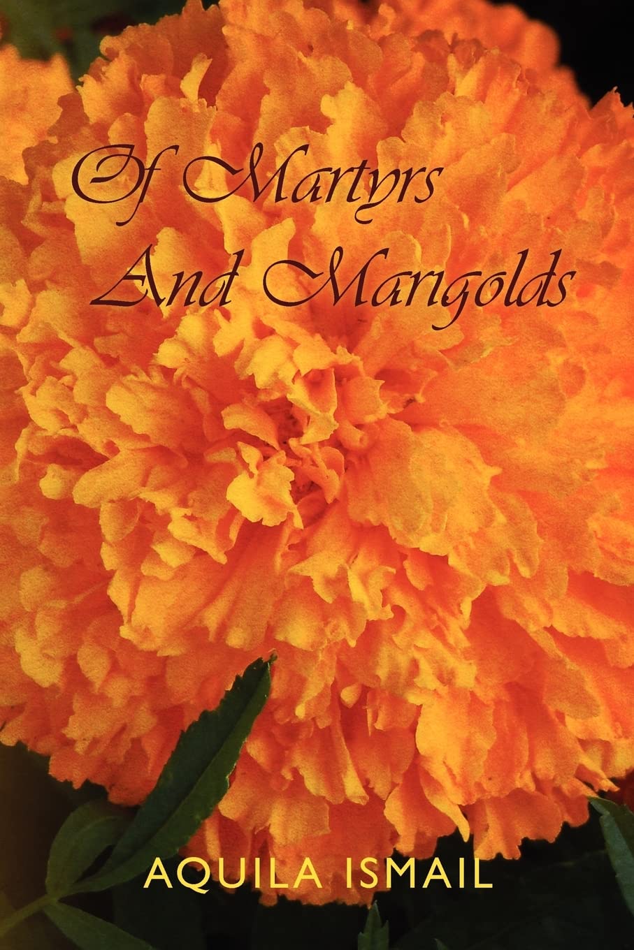 Of Marytrs And Marigolds Contemporary literature