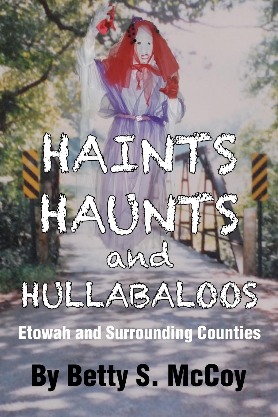 Haints, Haunts and Hullabaloos: Etowah and Surrounding Counties Horror & Mystery