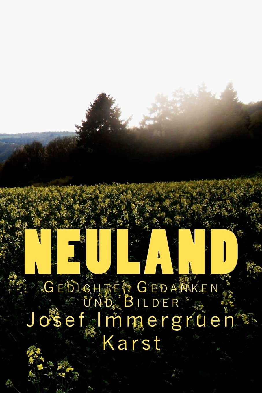 Neuland: Gedichte, Gedanken und Bilder book