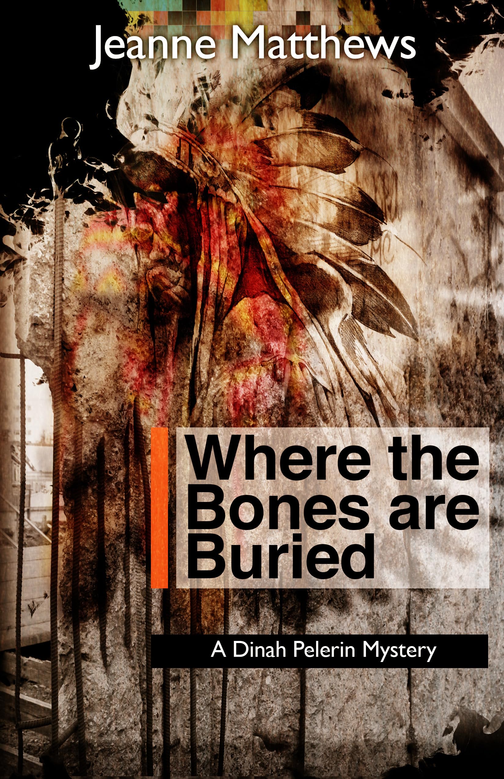 Where the Bones are Buried: A Dinah Pellerin Mystery (Dinah Pelerin Mysteries, 5, Band 5) Contemporary literature