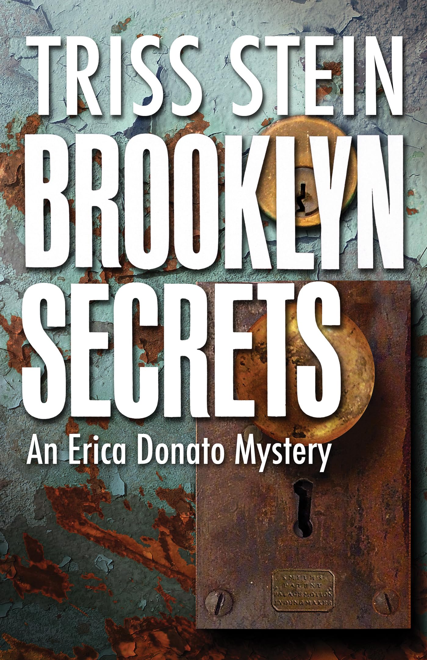 Brooklyn Secrets: An Erica Donato Mystery (Erica Donato Mysteries) Contemporary literature