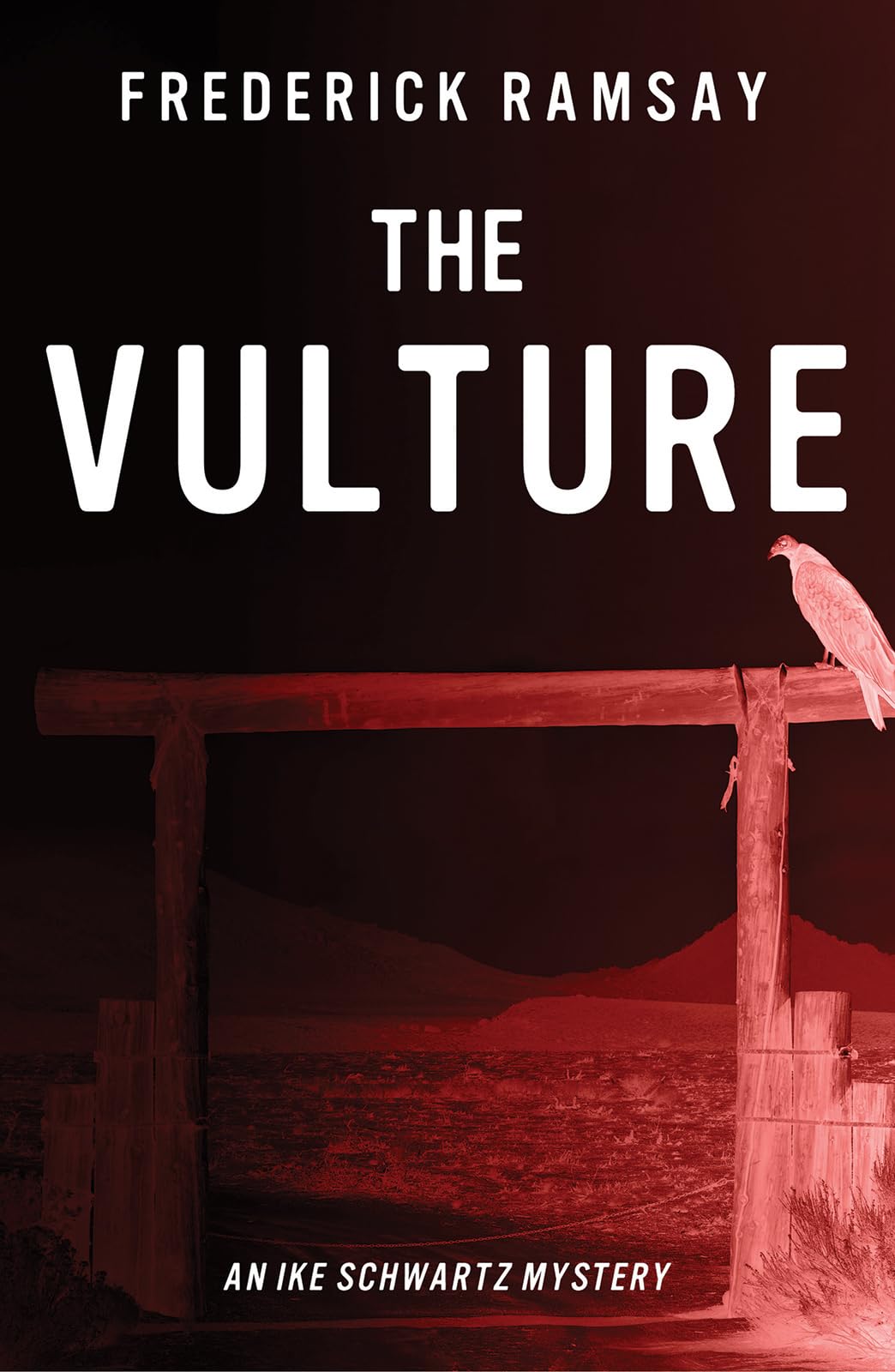 The Vulture (Ike Schwartz Series, 10, Band 10) Contemporary literature