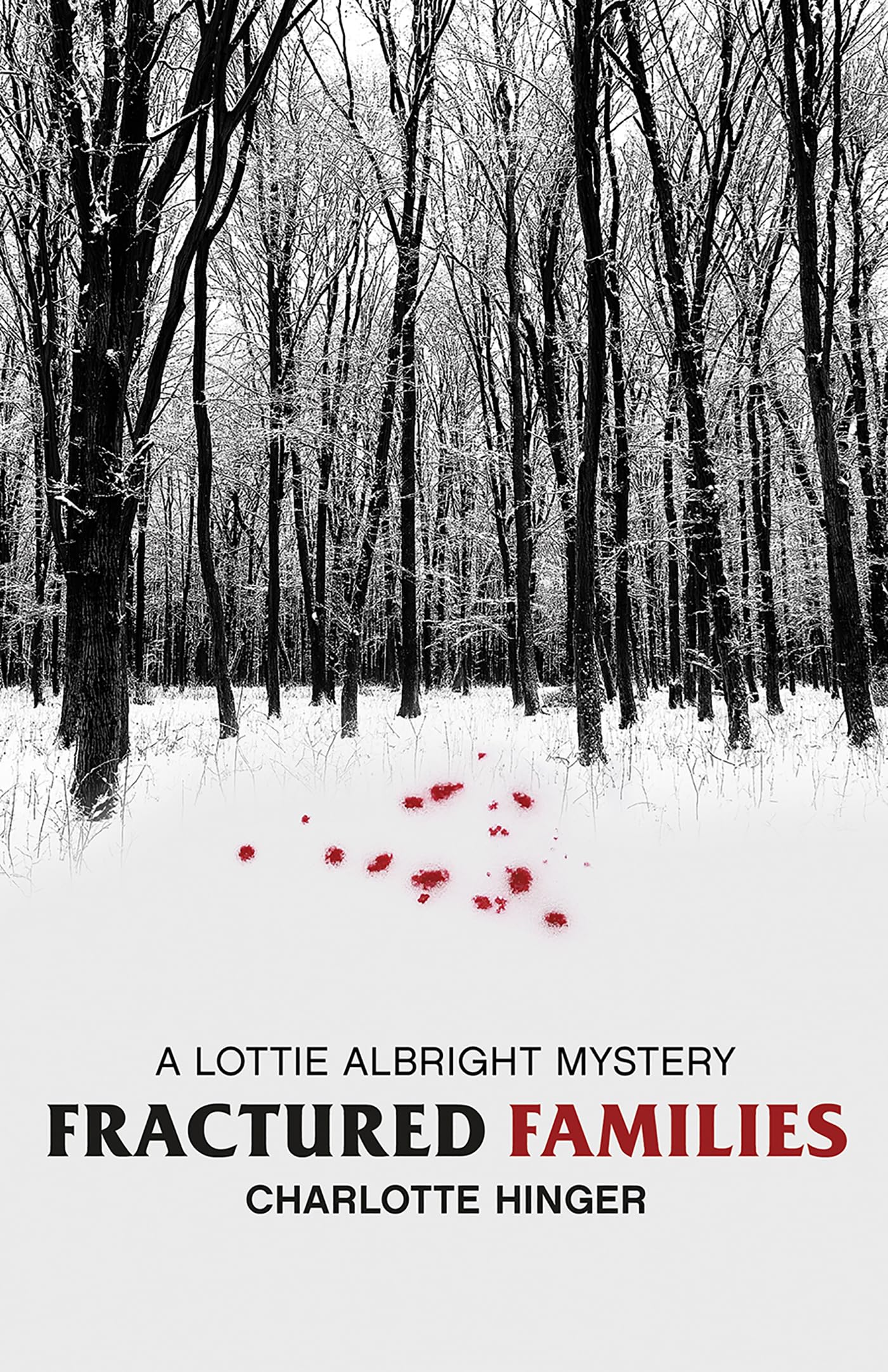 Fractured Families (Lottie Albright Series, 4, Band 4) Contemporary literature