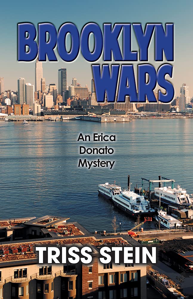Brooklyn Wars (Erica Donato Mysteries, Band 4) Detective & CSI