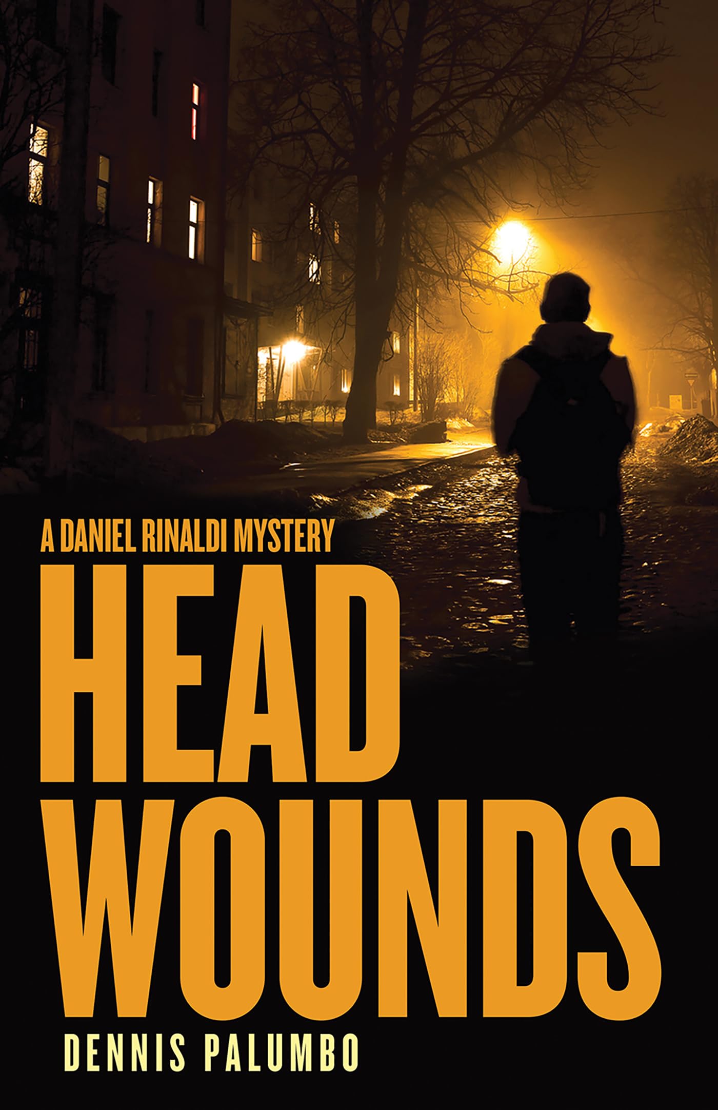Head Wounds (Daniel Rinaldi Mysteries, Band 5) Social Sciences