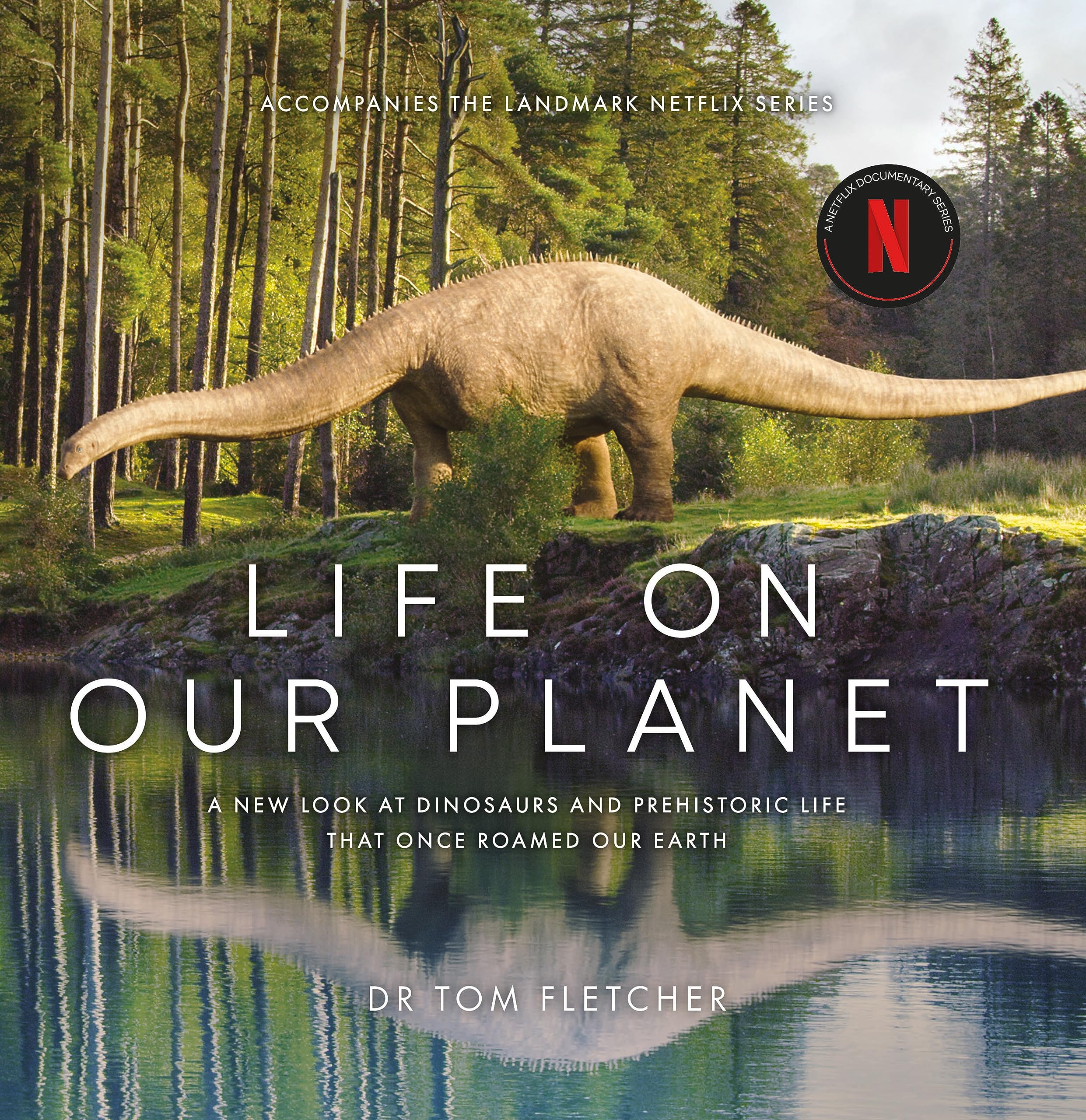 Life on Our Planet: A Stunning Re-examination of Prehistoric Life on Earth Mathematics