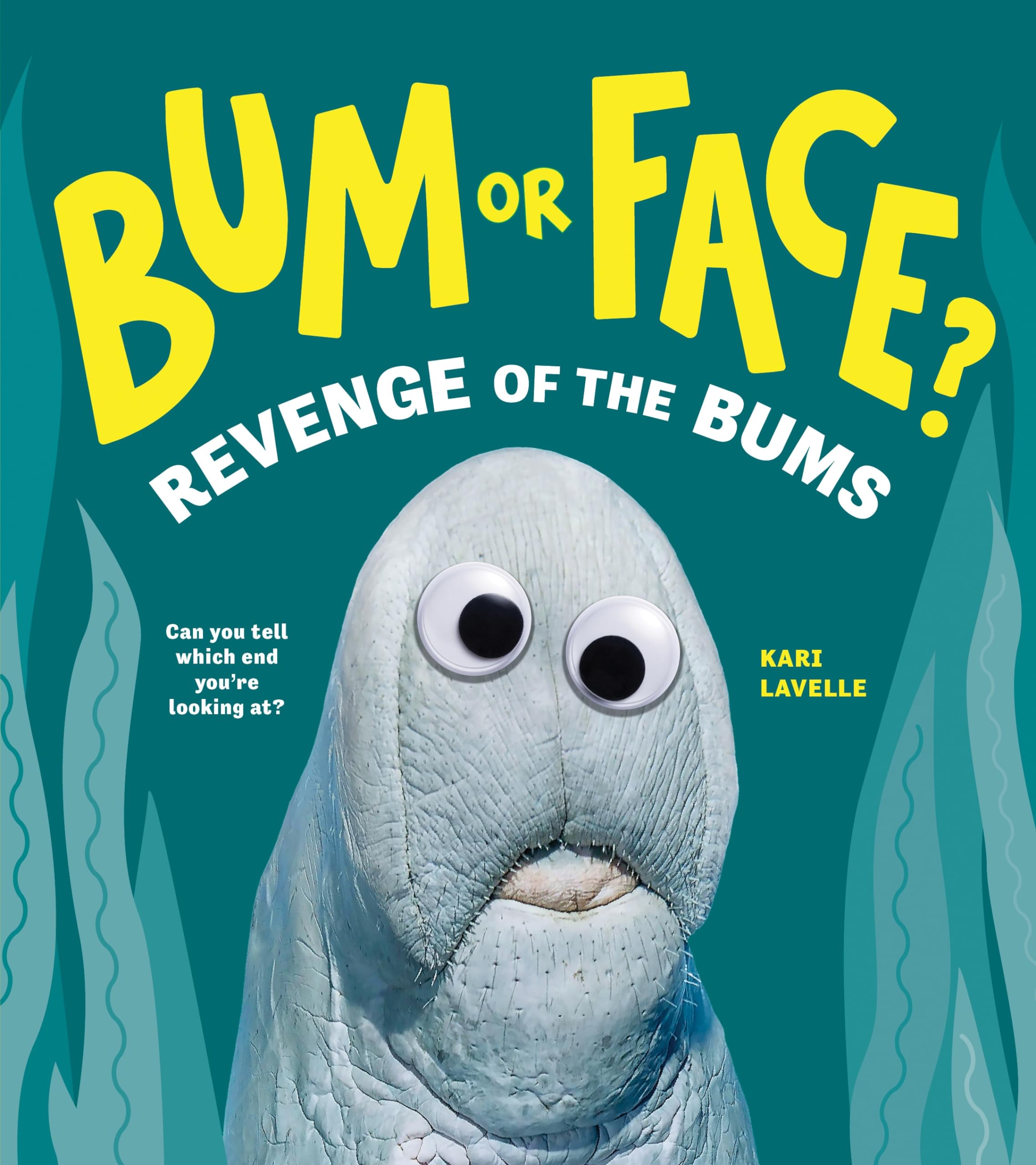 Bum or Face? Revenge of the Bums Non-fiction