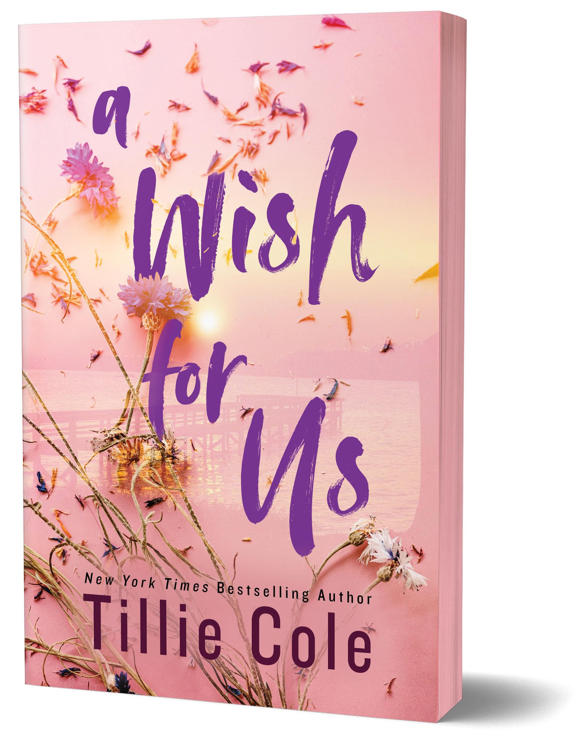 A Wish for Us Fiction
