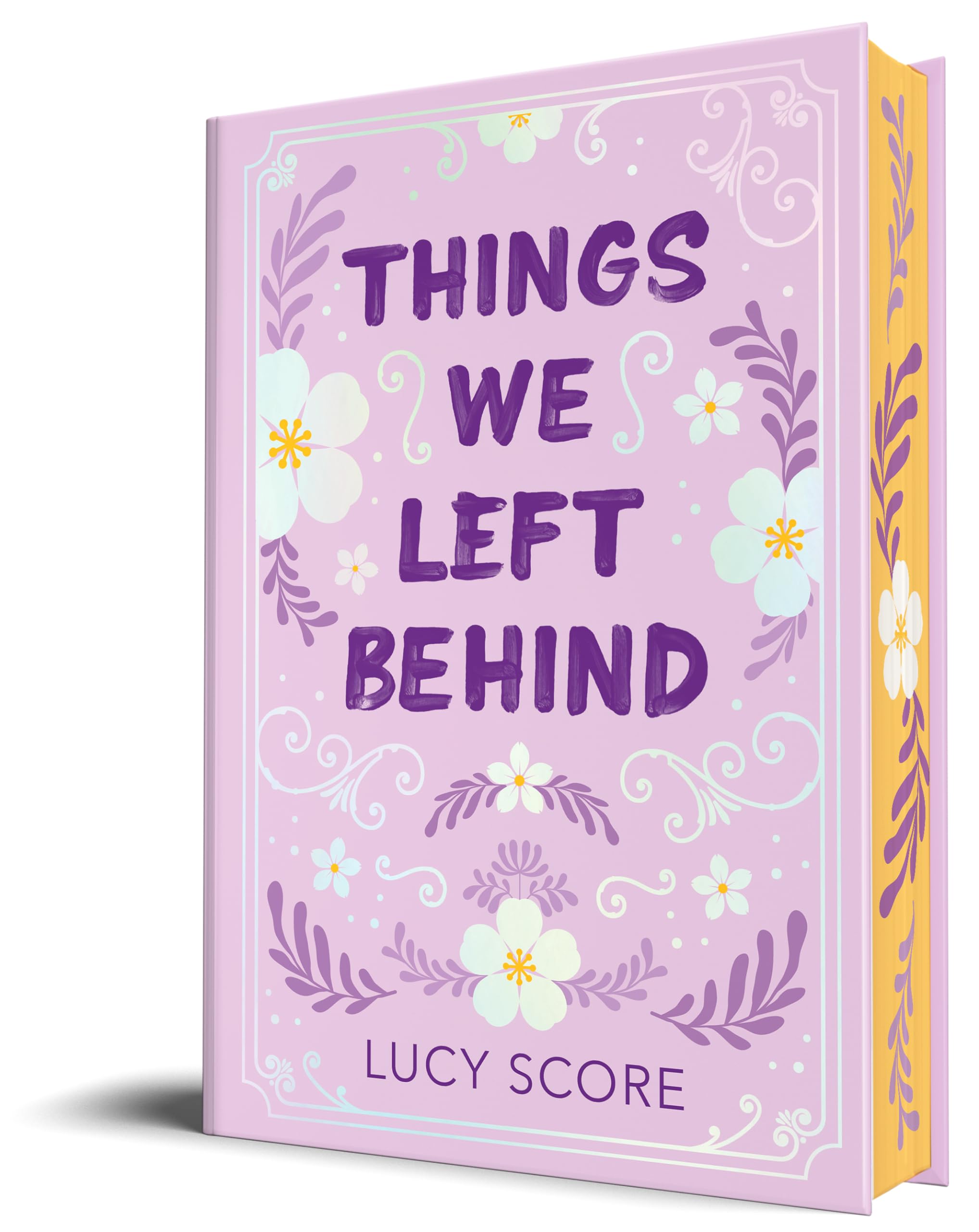 Things We Left Behind (Collector's Edition) (Knockemout Series, Band 3) Contemporary literature