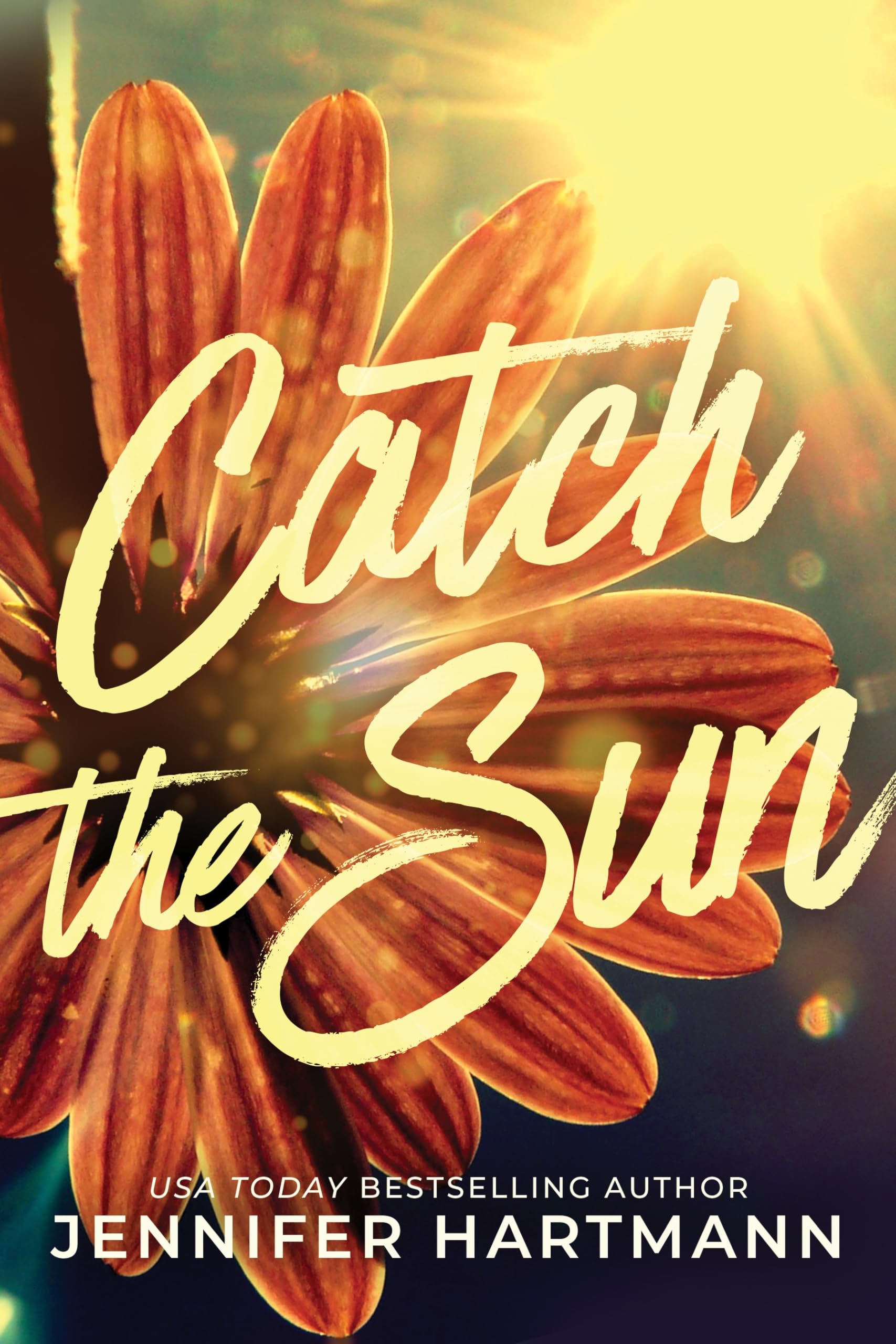 Catch the Sun Fiction