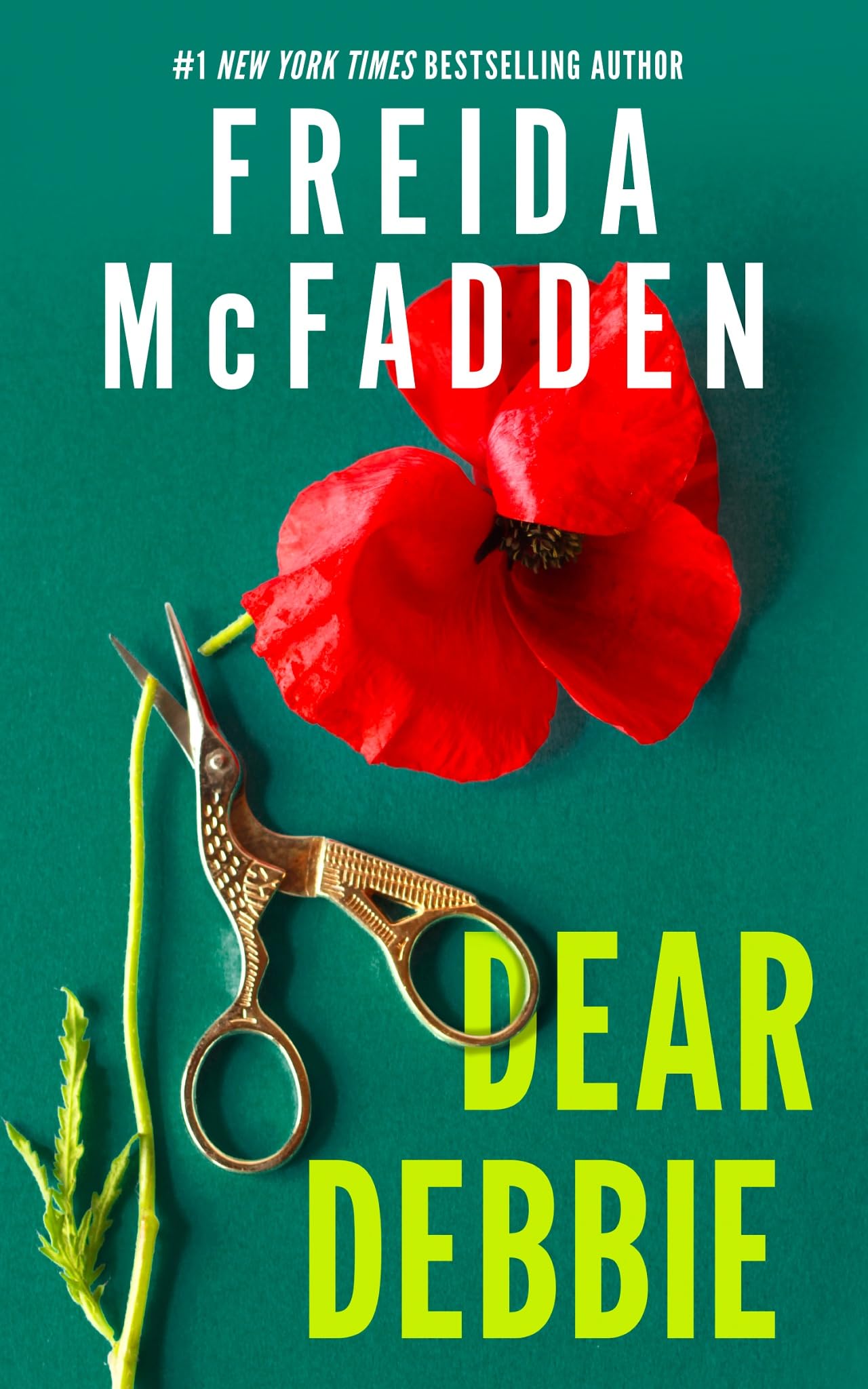 Dear Debbie Contemporary literature Books