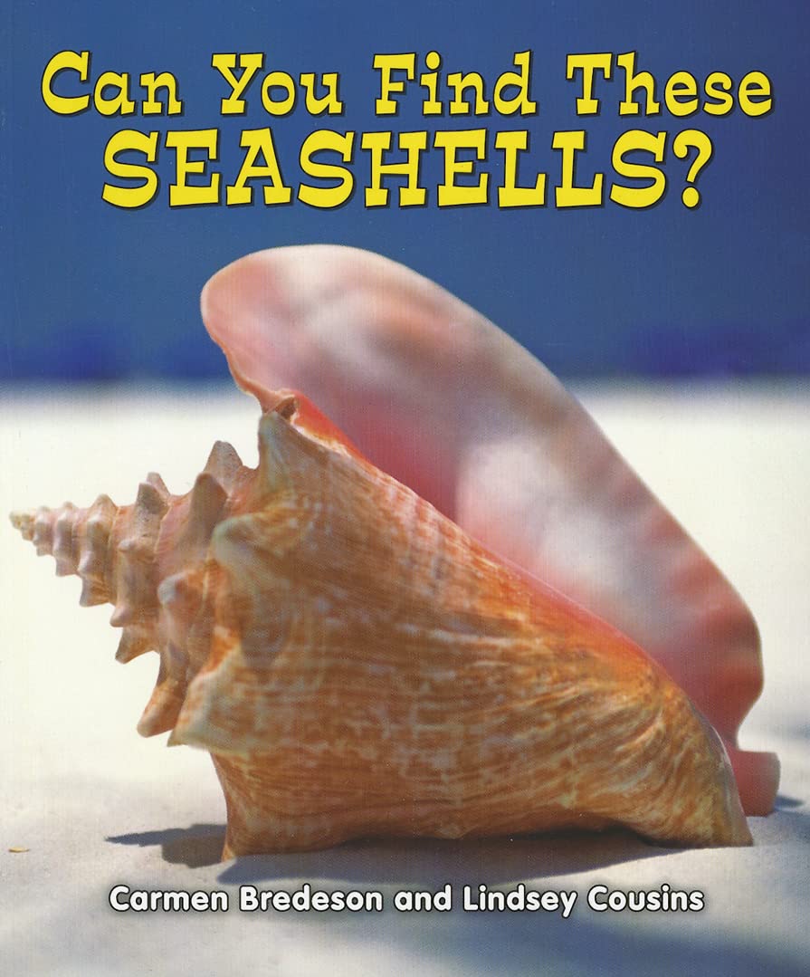Can You Find These Seashells? (All About Nature) Non-fiction