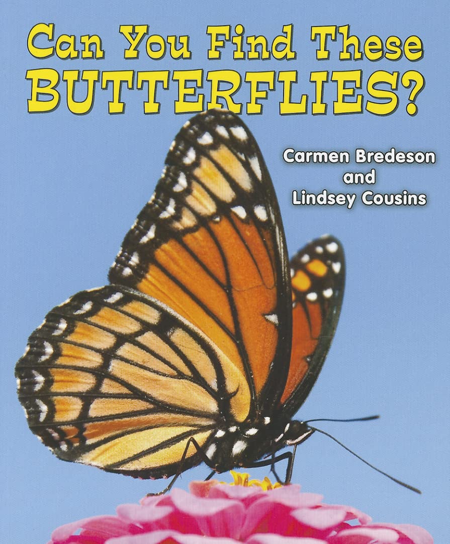 Can You Find These Butterflies? (All About Nature) Non-fiction