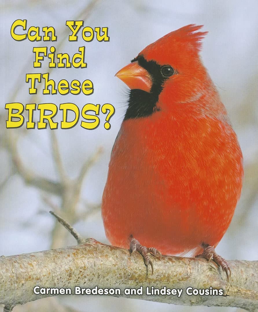 Can You Find These Birds? (All About Nature) Non-fiction