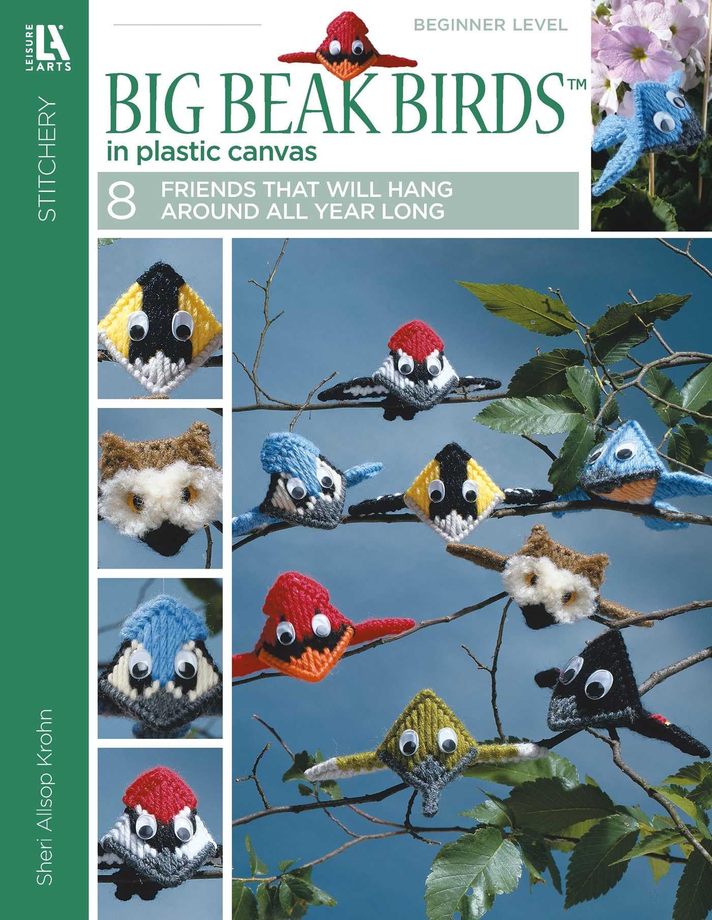 Big Beak Birds in Plastic Canvas Hobbies & Crafts