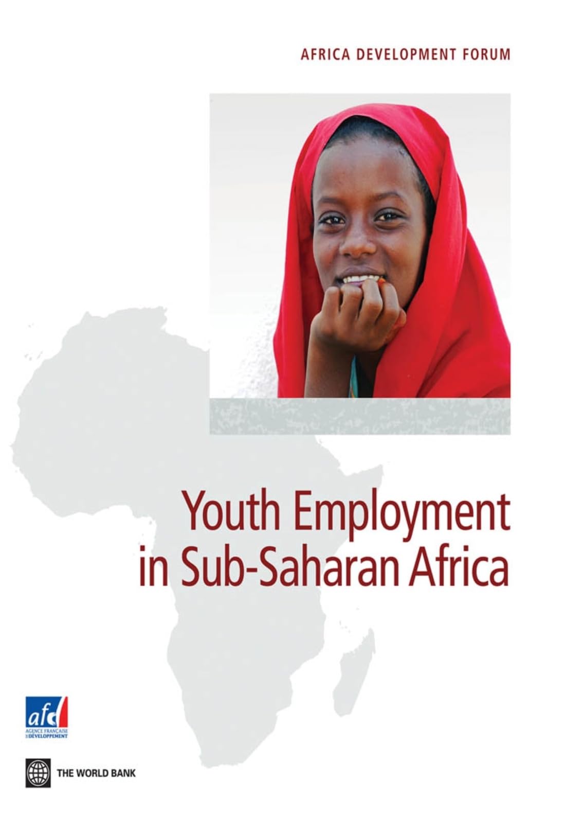 Youth Employment in Sub-Saharan Africa (Africa Development Forum) Books