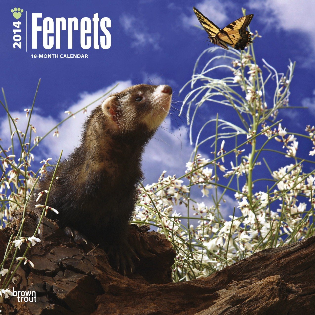 Ferrets 2014 - Frettchen: Original BrownTrout-Kalender (Wall-Kalender) Pets