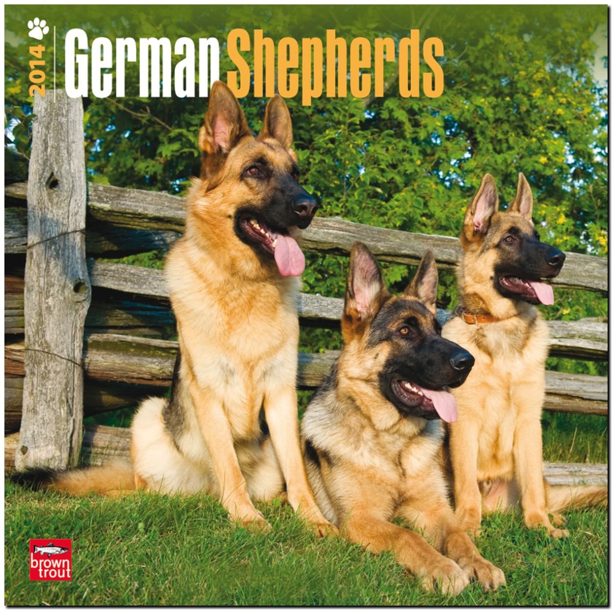 German Shepherds 2014 18-Month Calendar book