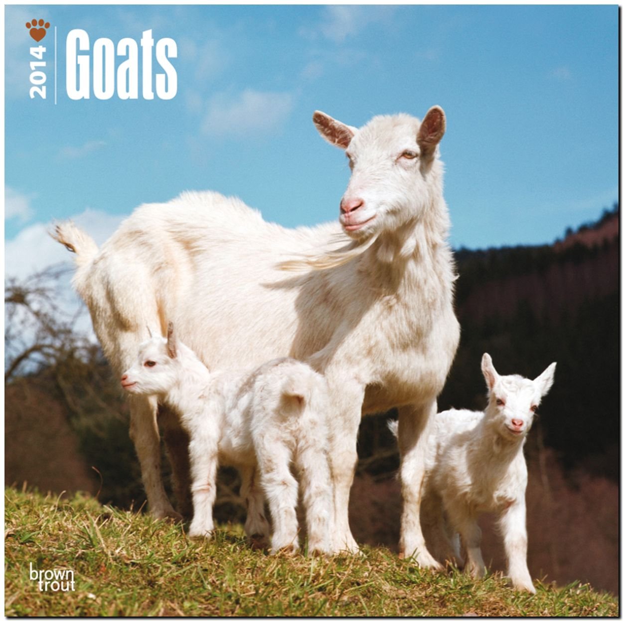 Goats 2014 - Ziegen: Original BrownTrout-Kalender (Wall-Kalender) Pets