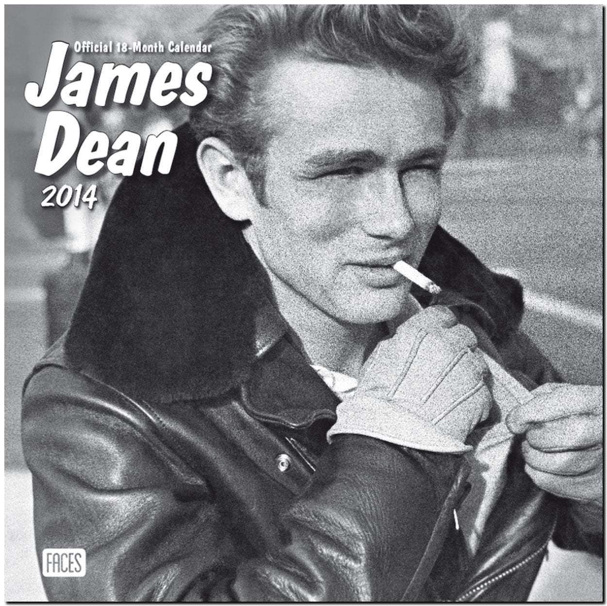 James Dean 2014 18-Month Calendar book