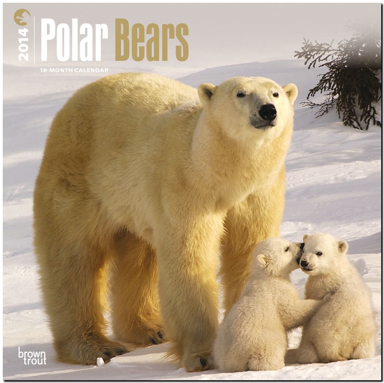 Polar Bears 18-Month 2014 Calendar book