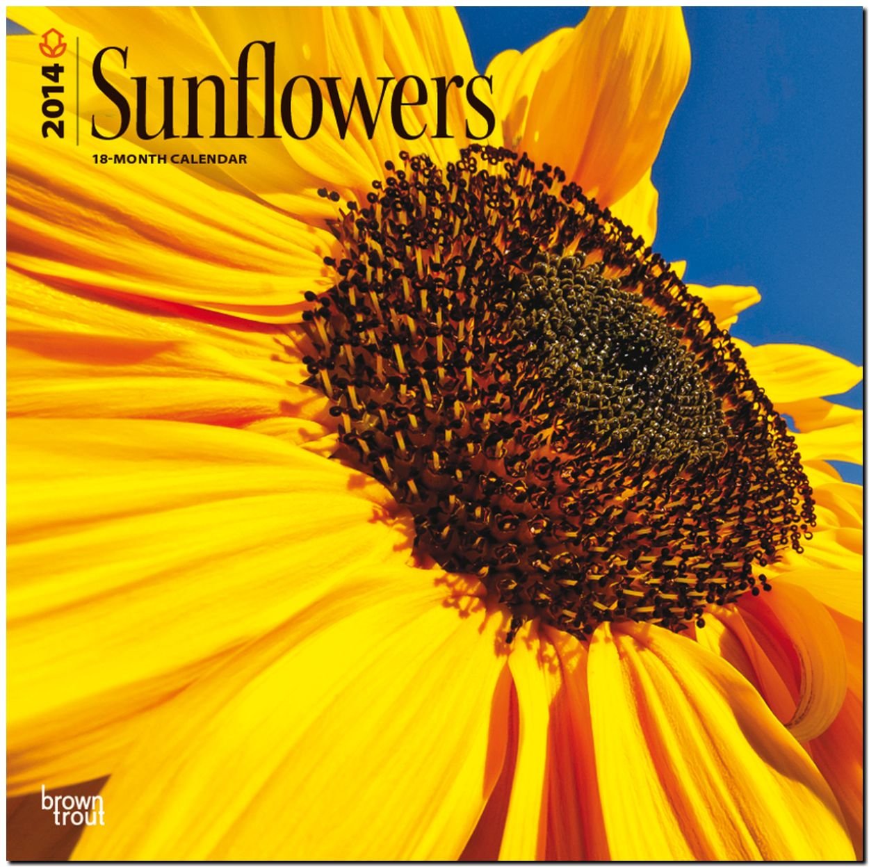 Sunflowers 18-Month 2014 Calendar book
