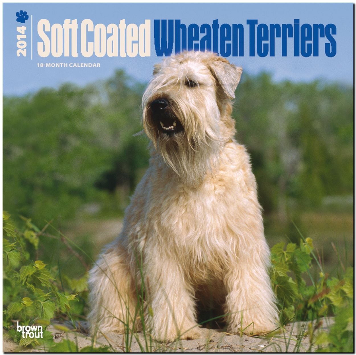 Soft-Coated Wheaten Terriers 2014 - Wheaten Terrier: Original BrownTrout-Kalender (Wall-Kalender) Pets