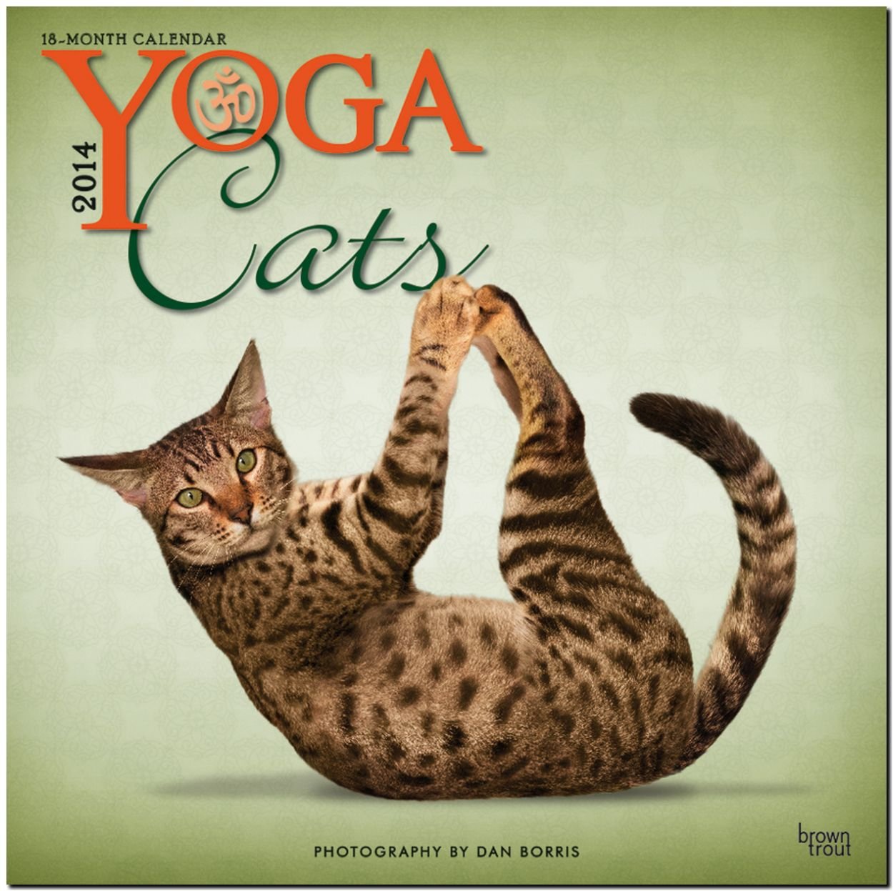 Yoga Cats 2014 - Joga-Katzen: Original BrownTrout-Kalender (Wall-Kalender) Pets