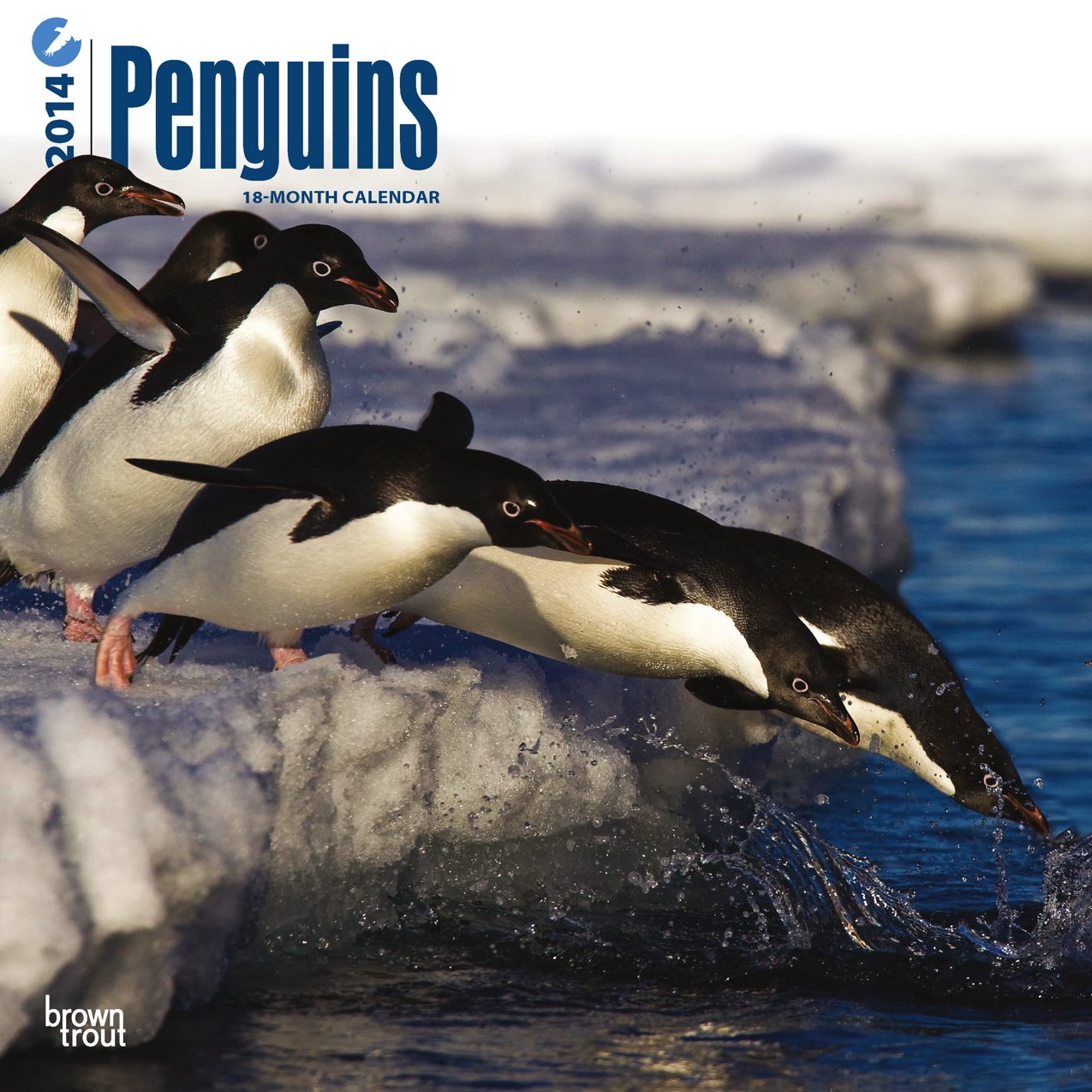 Penguins 2014 Calendar Mathematics
