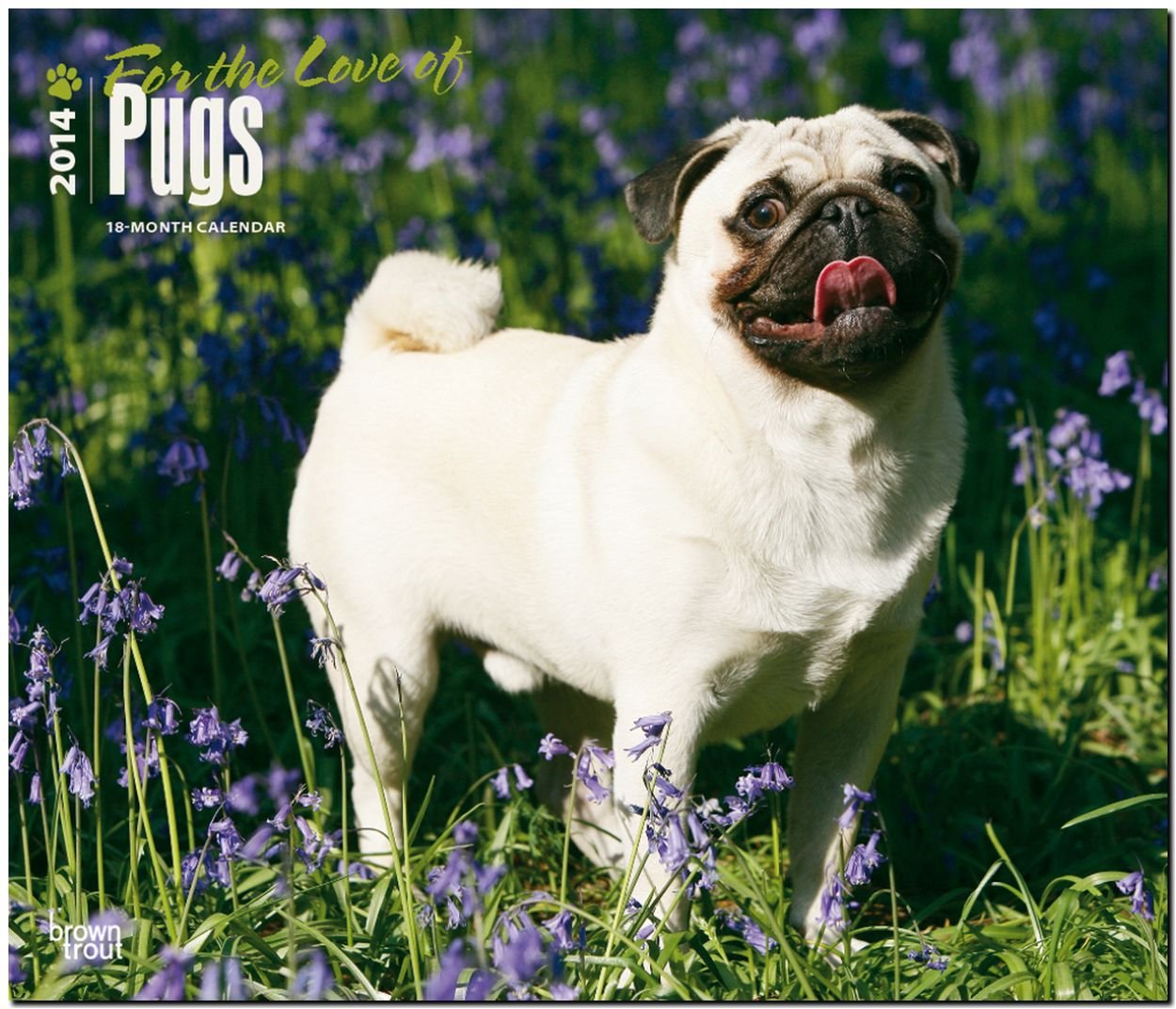 Pugs - For the Love of 2014 - Möpse: Original BrownTrout-Kalender - Deluxe (Deluxe-Kalender) Pets