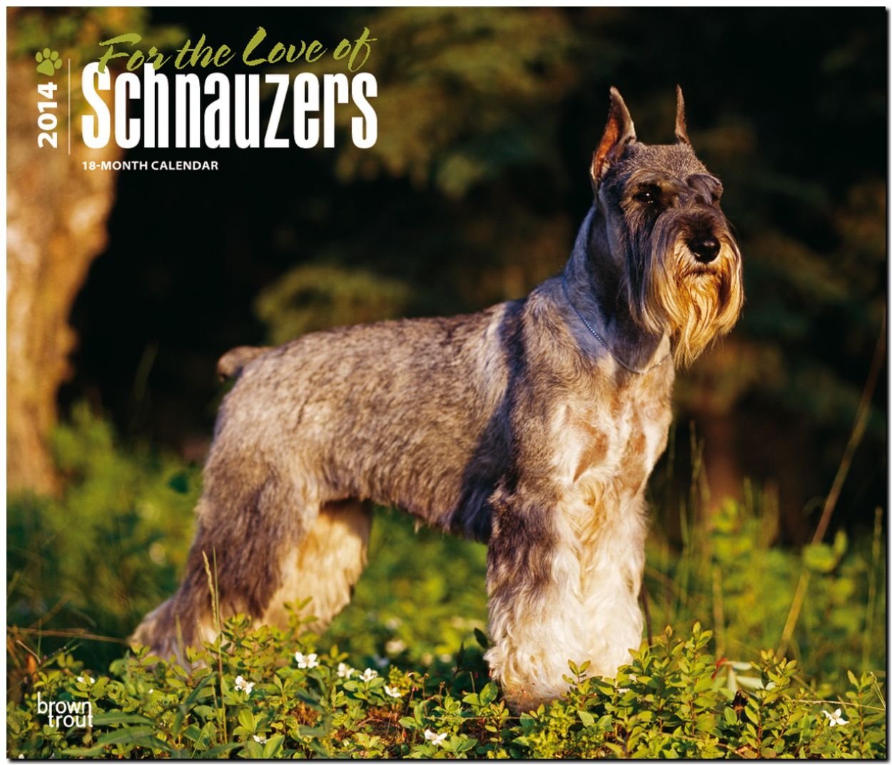 Schnauzers - For the Love of 2014 - Schnauzer: Original BrownTrout-Kalender - Deluxe (Deluxe-Kalender) Pets