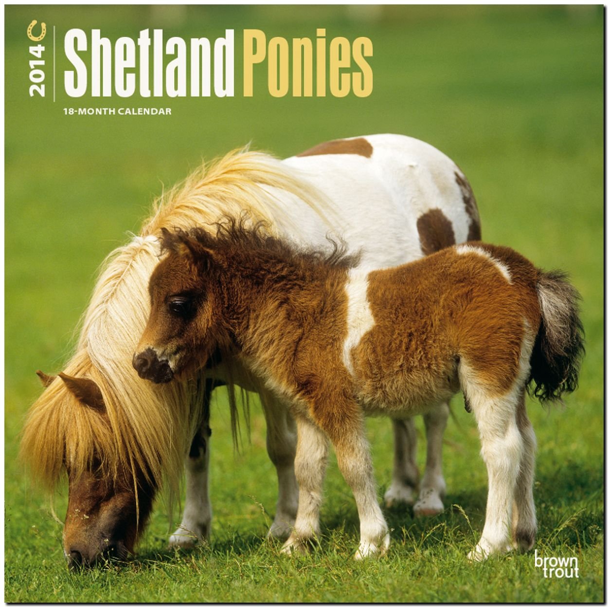 Shetland Ponies 2014 - Shetland Pony: Original BrownTrout-Kalender (Wall-Kalender) Pets