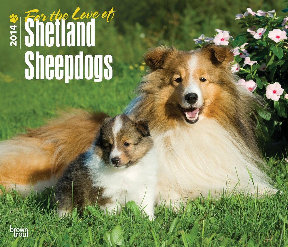For the Love of Shetland Sheepdogs 2014 18-Month Calendar Pets