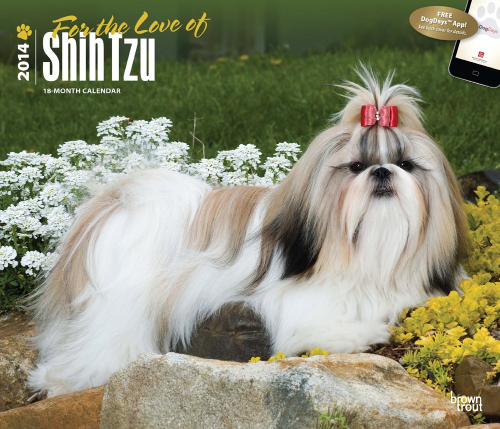 For the Love of Shih Tzu 2014 18-Month Calendar Pets
