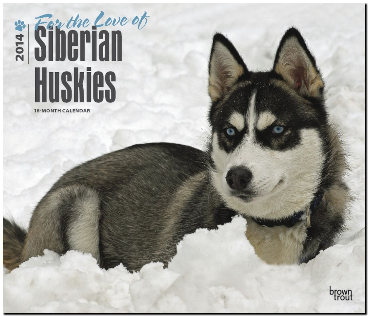 Siberian Huskies – For the love of 2014 - Sibirische Huskies: Original BrownTrout-Kalender - Deluxe (Deluxe-Kalender) Pets