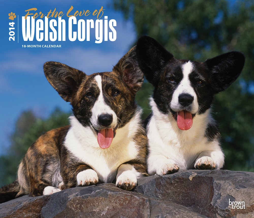 For the Love of Welsh Corgis 2014 18-Month Calendar Pets