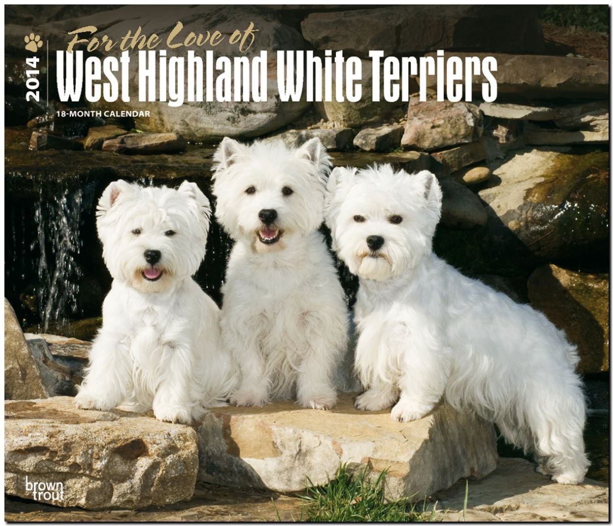 West Highland White Terriers - For the Love of 2014 - Westies: Original BrownTrout-Kalender - Deluxe (Deluxe-Kalender) Pets
