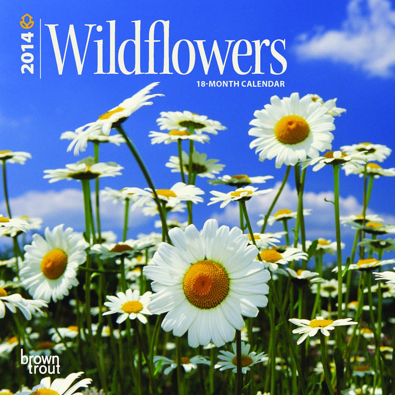 Wildflowers 2014 18-Month Calendar Books