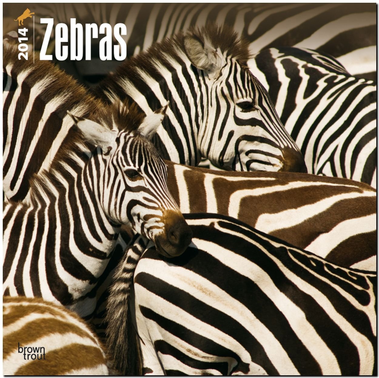 Zebras 2014: Original BrownTrout-Kalender (Wall-Kalender) Leisure, Home & Garden
