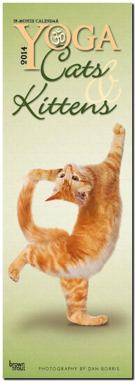 Yoga Cats & Kittens 2014: Original BrownTrout-Kalender - Slimline (Slimline-Kalender) Pets