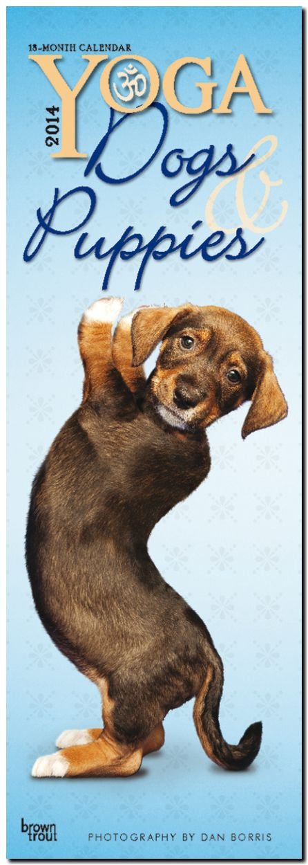Yoga Dogs & Puppies 2014: Original BrownTrout-Kalender - Slimline (Slimline-Kalender) Pets